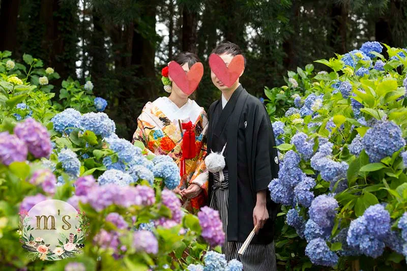 松本城と紫陽花のお寺にて前撮り