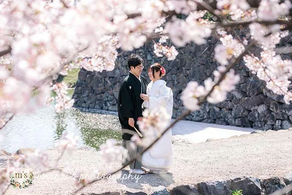 松本城とアルプス公園での桜撮影