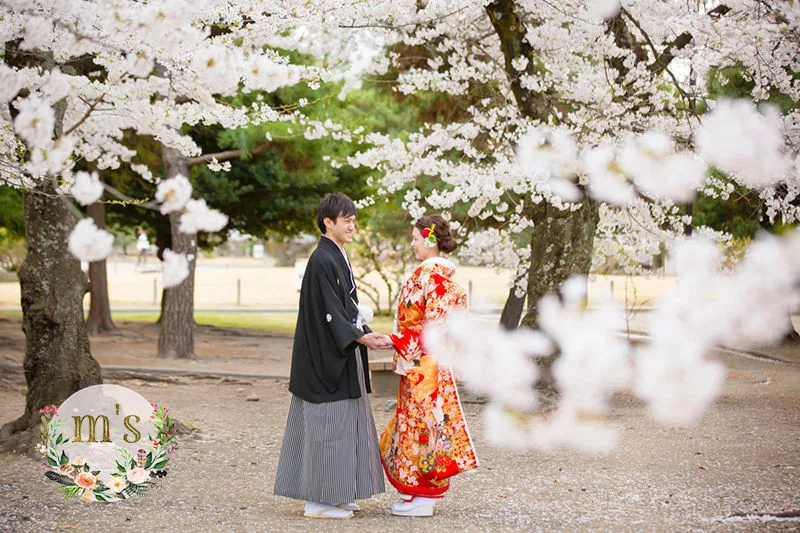 桜の松本城で