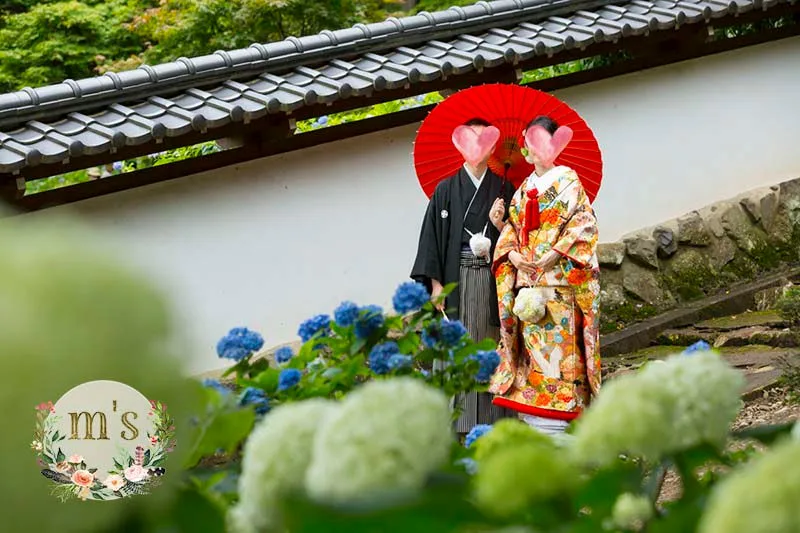 松本城と紫陽花のお寺にて前撮り