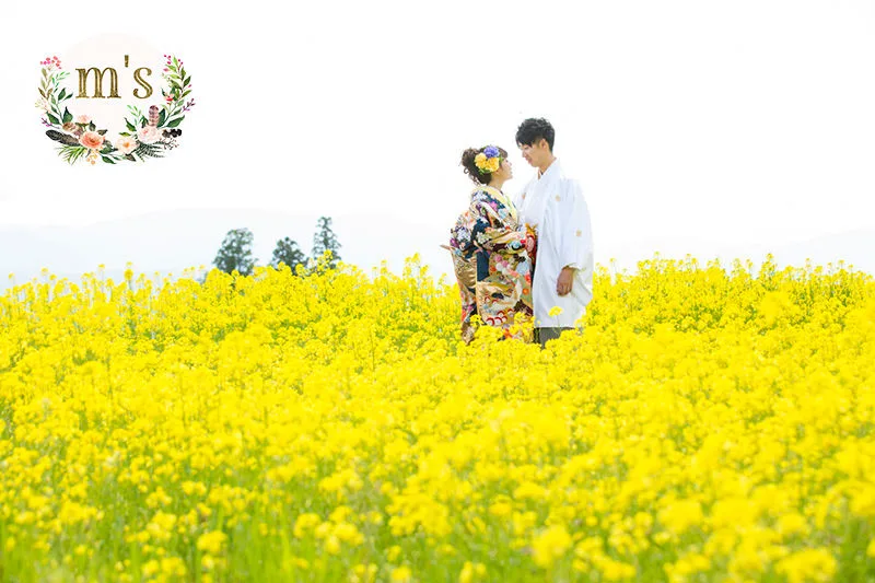 あづみの公園で菜の花撮影