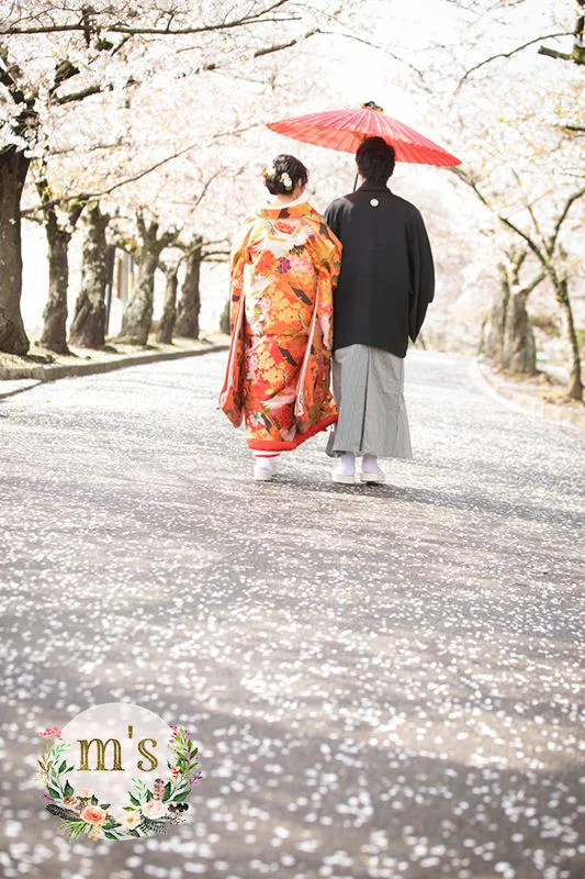 桜を求めて