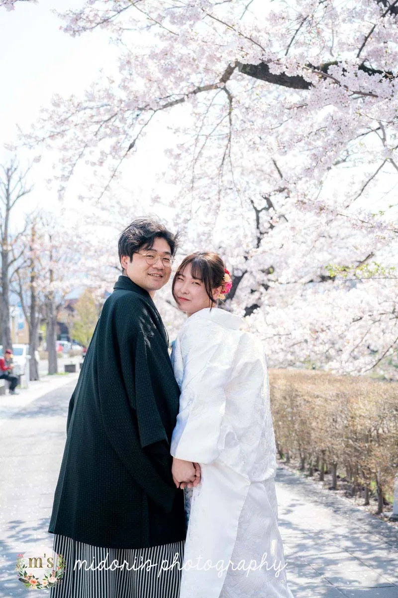 松本城とアルプス公園での桜撮影