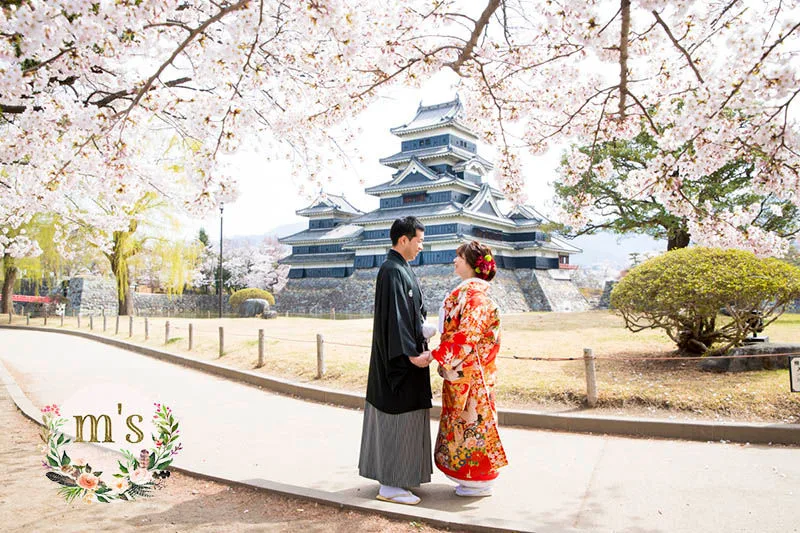 松本城での桜　前撮り
