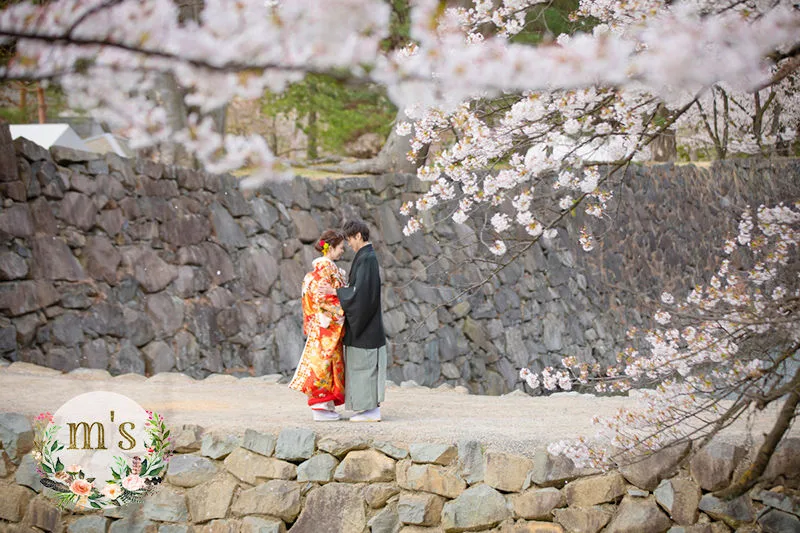 桜の松本城で
