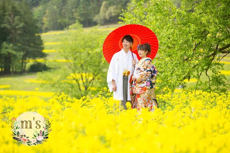 あづみの公園で菜の花撮影