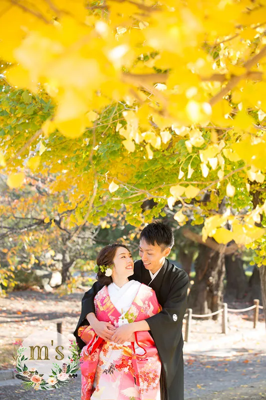 紅葉の松本城とスタジオ