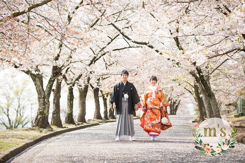 桜を求めて