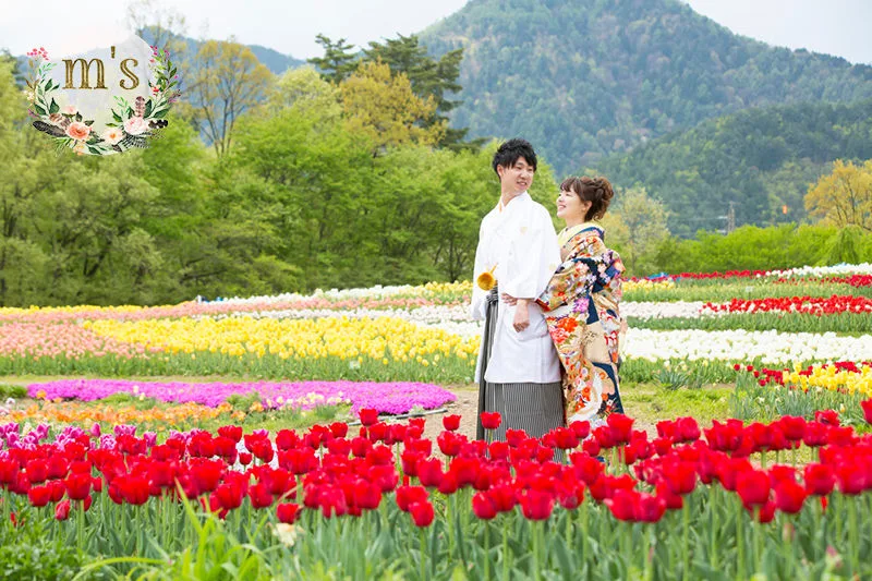 あづみの公園で菜の花撮影