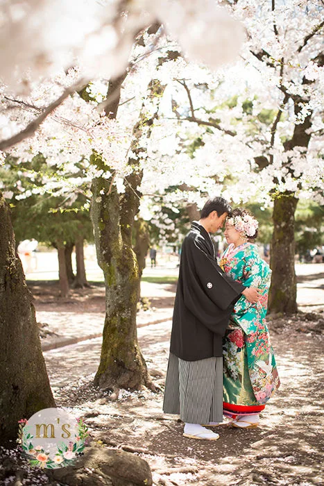 桜と松本城