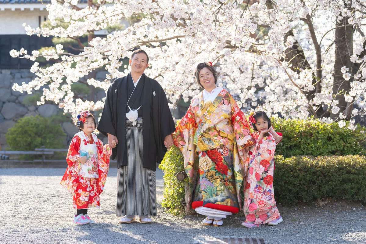 桜の木の下で、着物を着て結婚写真を撮る家族