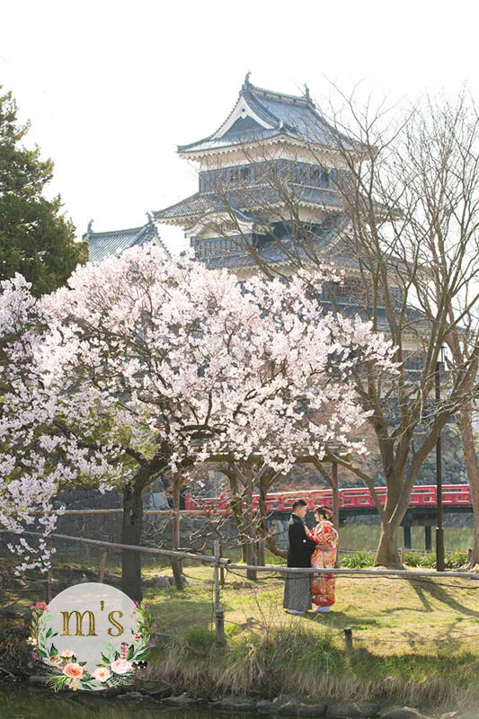 桜の松本城とあがたの森で前撮り