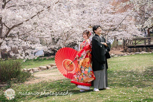 松本城とアルプス公園での桜撮影