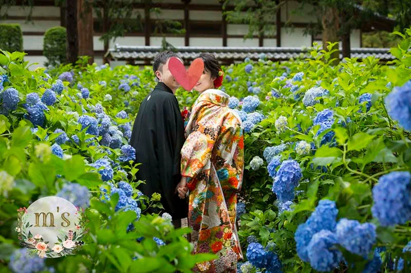 松本城と紫陽花のお寺にて前撮り