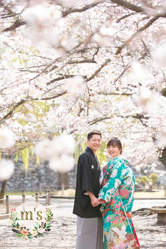 桜満開の松本城にて前撮り