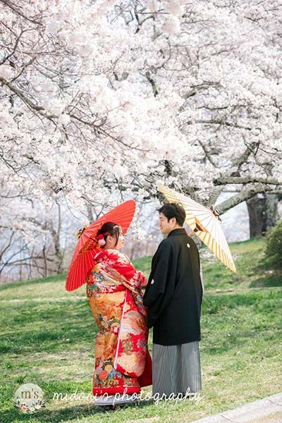 松本城とアルプス公園での桜撮影