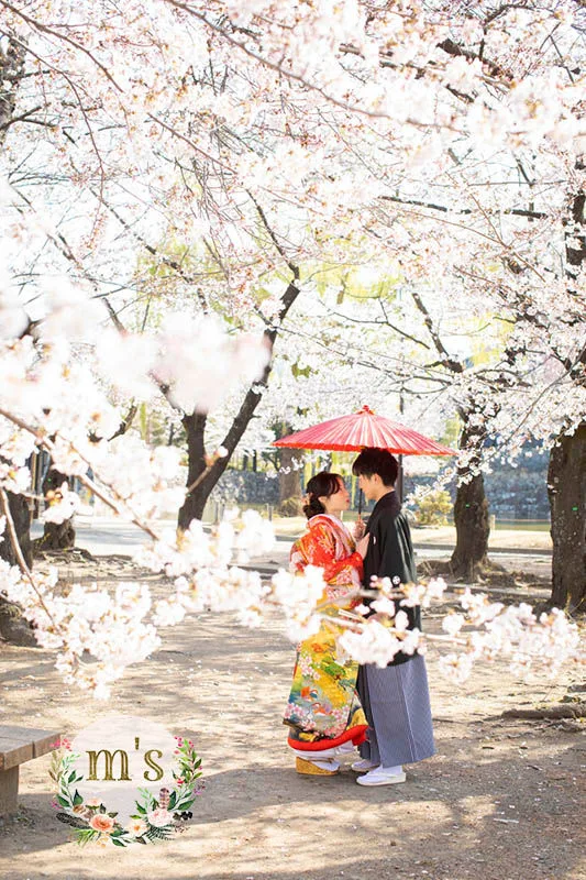 ４月の撮影より