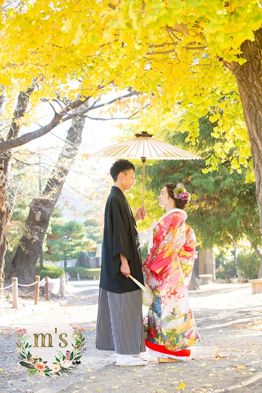 紅葉の松本城とスタジオ