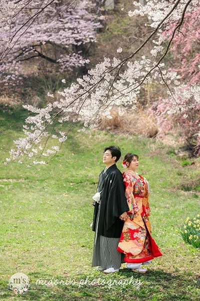 松本城とアルプス公園での桜撮影