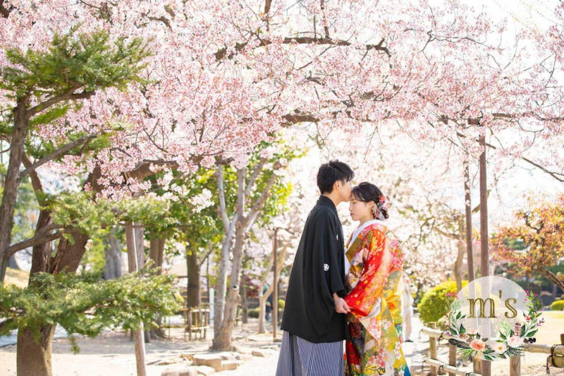 ４月の撮影より