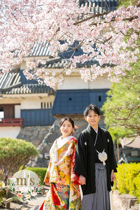 ４月の撮影より
