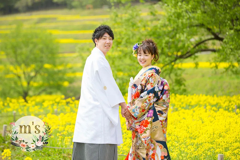 あづみの公園で菜の花撮影