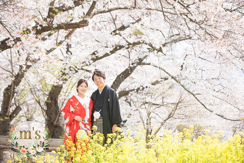 アルプス公園の桜＆松本城