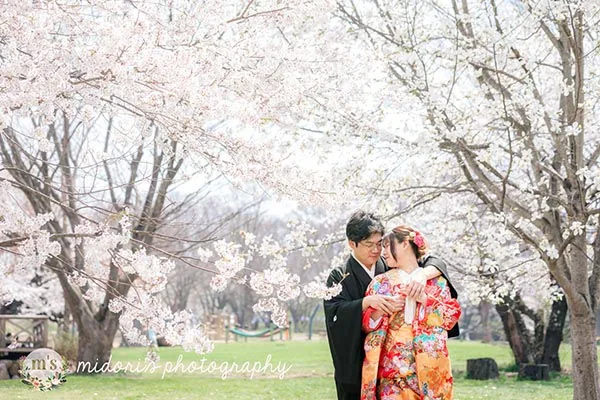 松本城とアルプス公園での桜撮影
