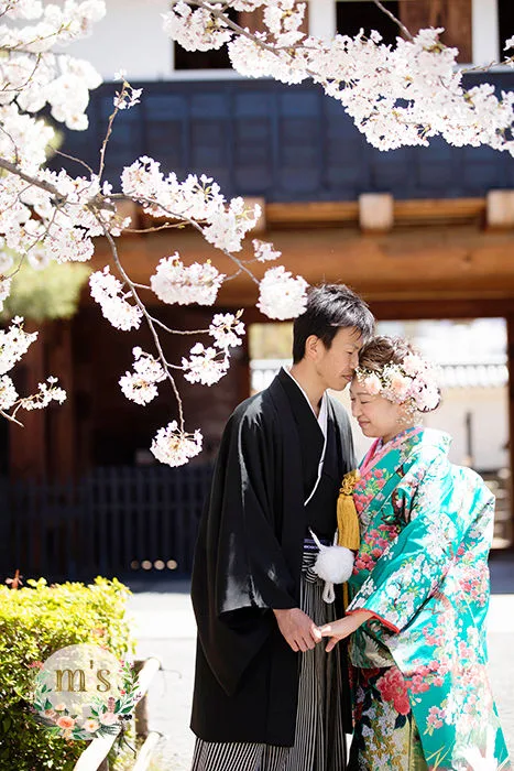 桜と松本城