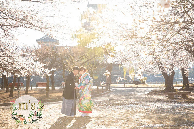 桜の時期の前撮り
