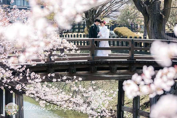 松本城とアルプス公園での桜撮影