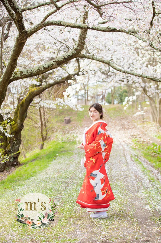 アルプス公園の桜＆松本城