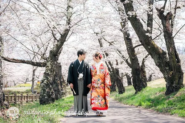 松本城とアルプス公園での桜撮影