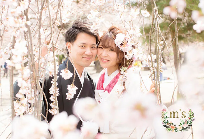 桜の松本城