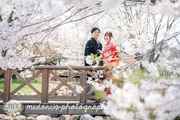 松本城とアルプス公園での桜撮影