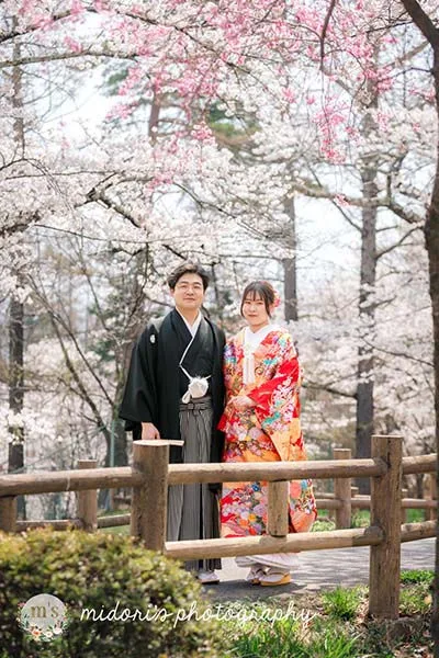 松本城とアルプス公園での桜撮影