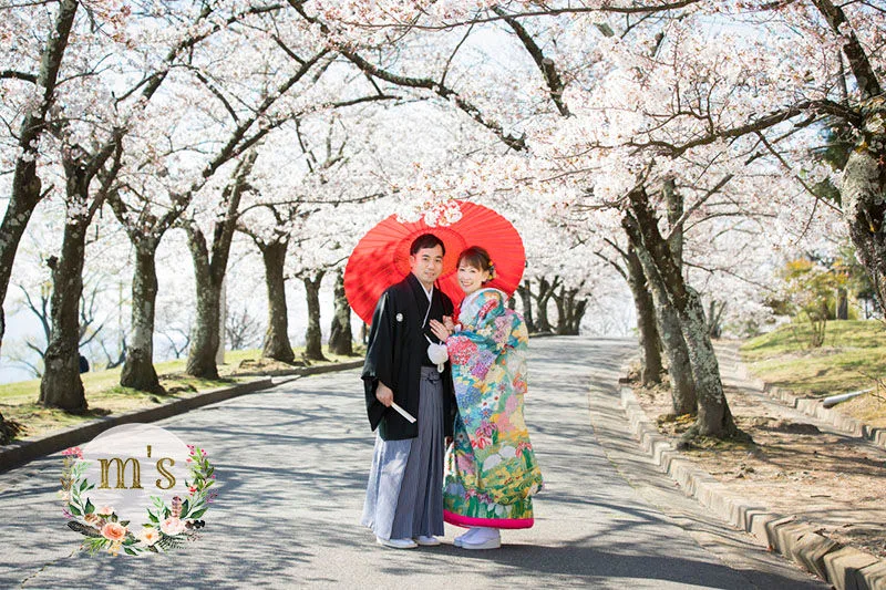 桜の時期の前撮り