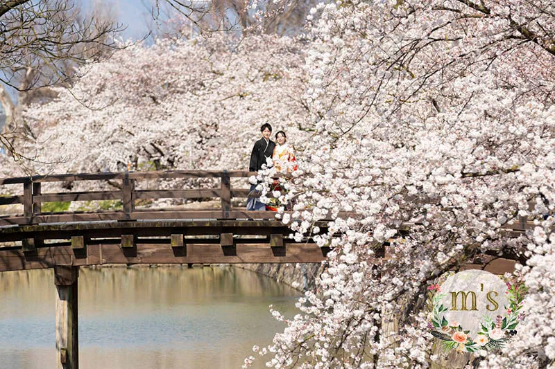 ４月の撮影より