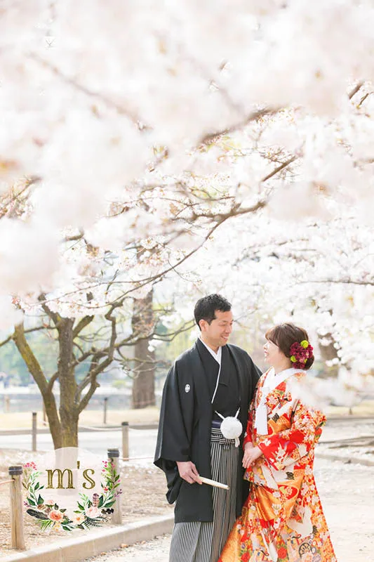 松本城での桜　前撮り