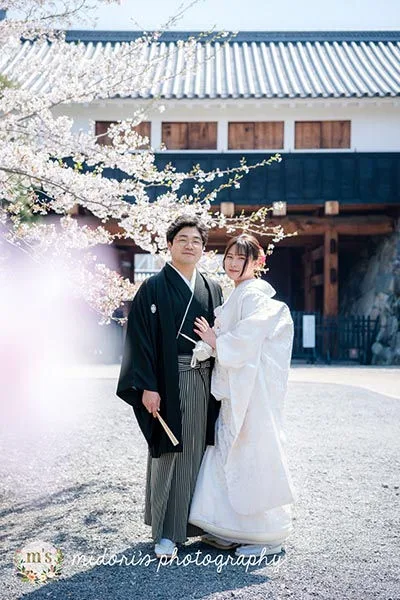 松本城とアルプス公園での桜撮影