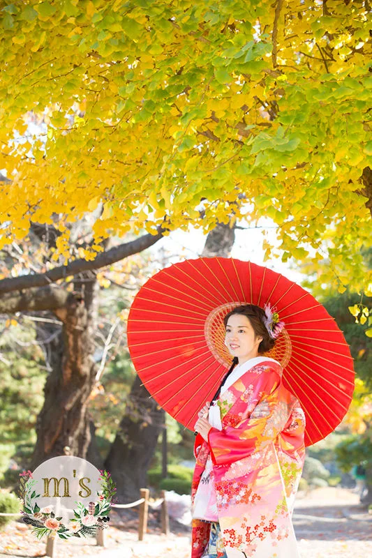 紅葉の松本城とスタジオ