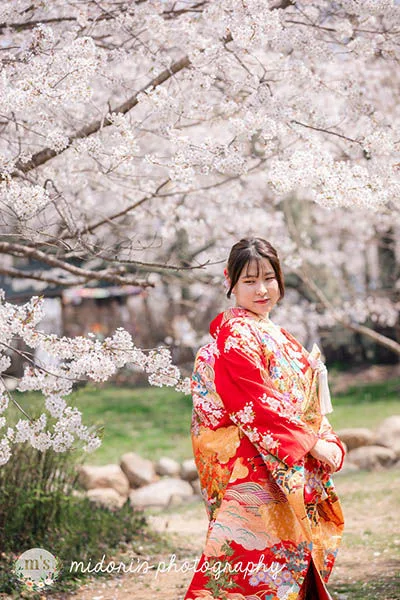 松本城とアルプス公園での桜撮影
