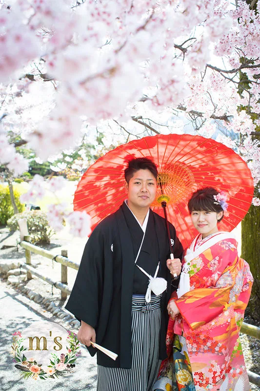 桜の松本城